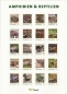 Preview: 2012 - Marken Edition 20 - Amphibien & Reptilien - Postfrisch ** / DB / Kommissionsverkauf "BH"