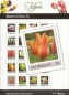 Preview: 2014 - Marken Edition 20 - Tulpen - Postfrisch **