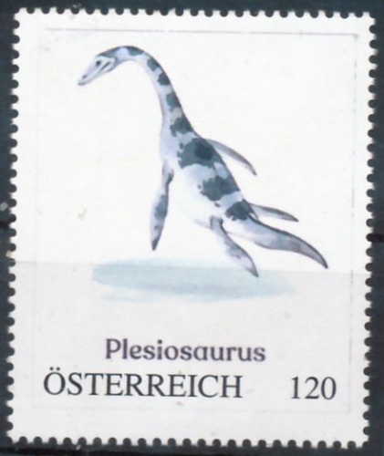 PM - Vorderseite