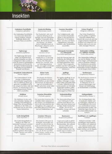 2012 - Marken Edition 20 - Insekten - Postfrisch ** / DB / Kommissionsverkauf "BH"