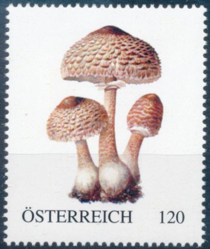 PM - Vorderseite