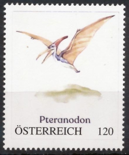 PM - Vorderseite