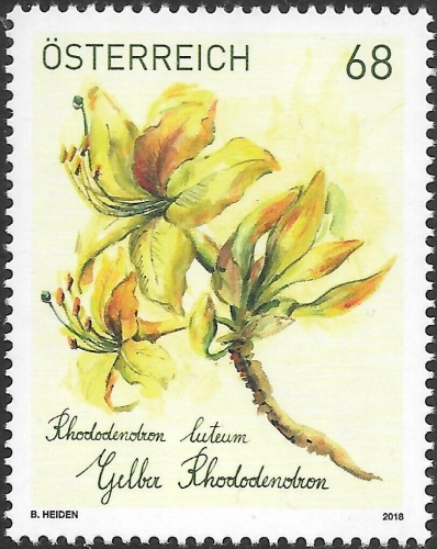 Abonnementmarke 2017 "Rhododendron"